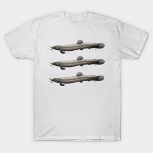 Loaches T-Shirt